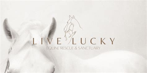 lucky horse rescue.